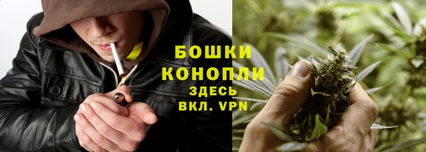 spice Балабаново