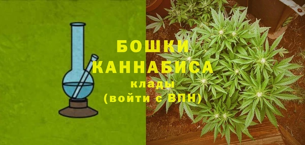 прущие крисы Балахна