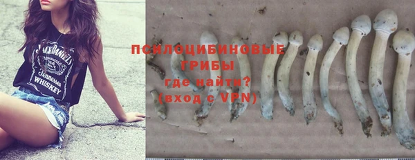 spice Балабаново