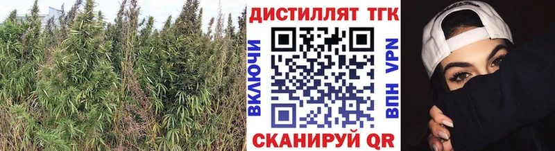 цены   Высоцк  Дистиллят ТГК вейп 