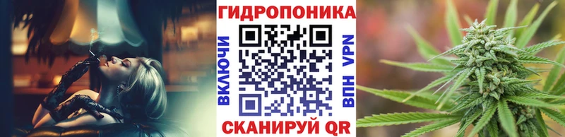 ОМГ ОМГ ONION  цены наркотик  Высоцк  Конопля семена 